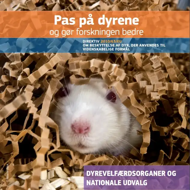 Pas på dyrene
